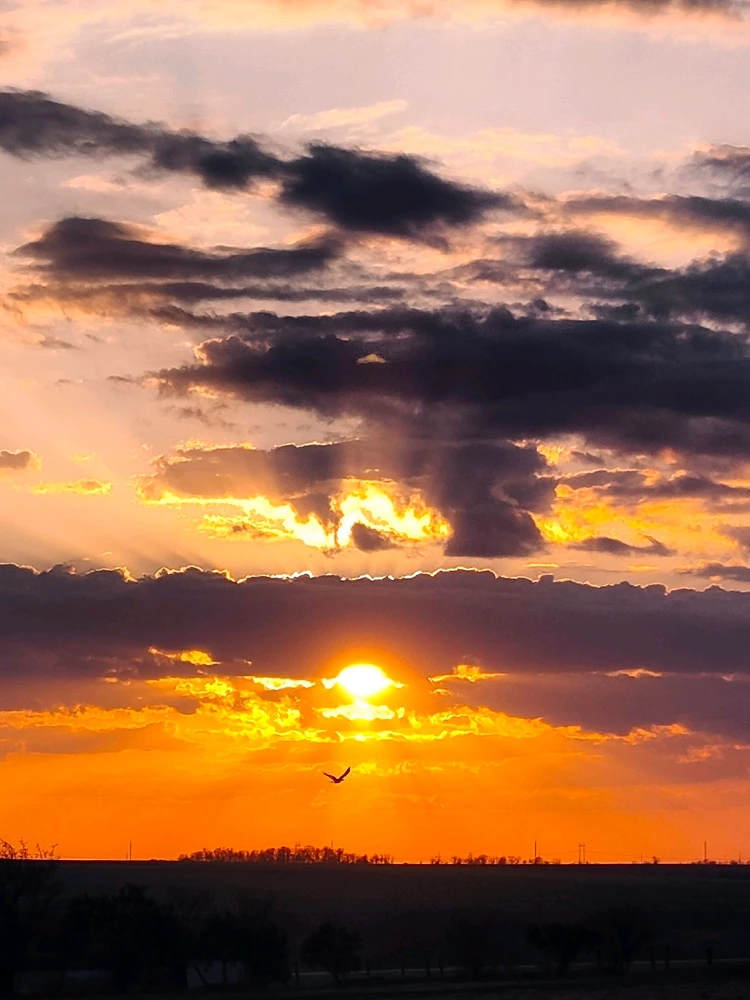 Гіфку завантажив Valentyn