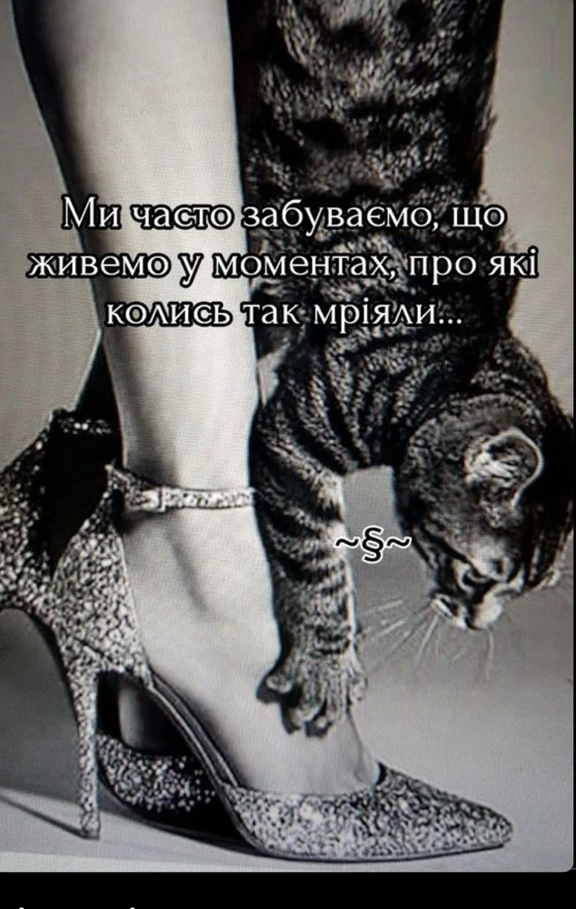 Гіфку завантажив Ніка