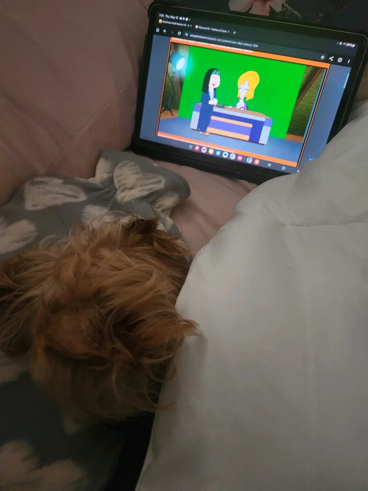 Image uploaded by 《🌹.::Lenöré::.🌹》