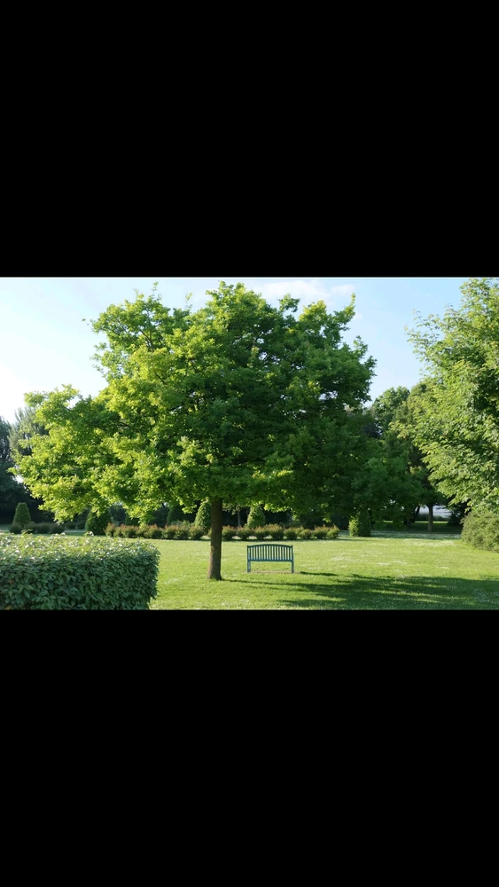 GIF uploaded by Zaza