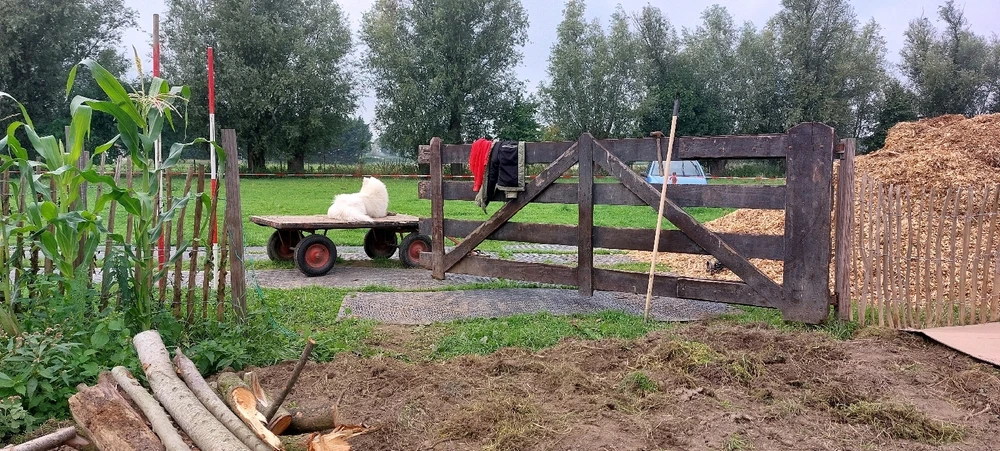 Afbeelding geüpload door Ismael