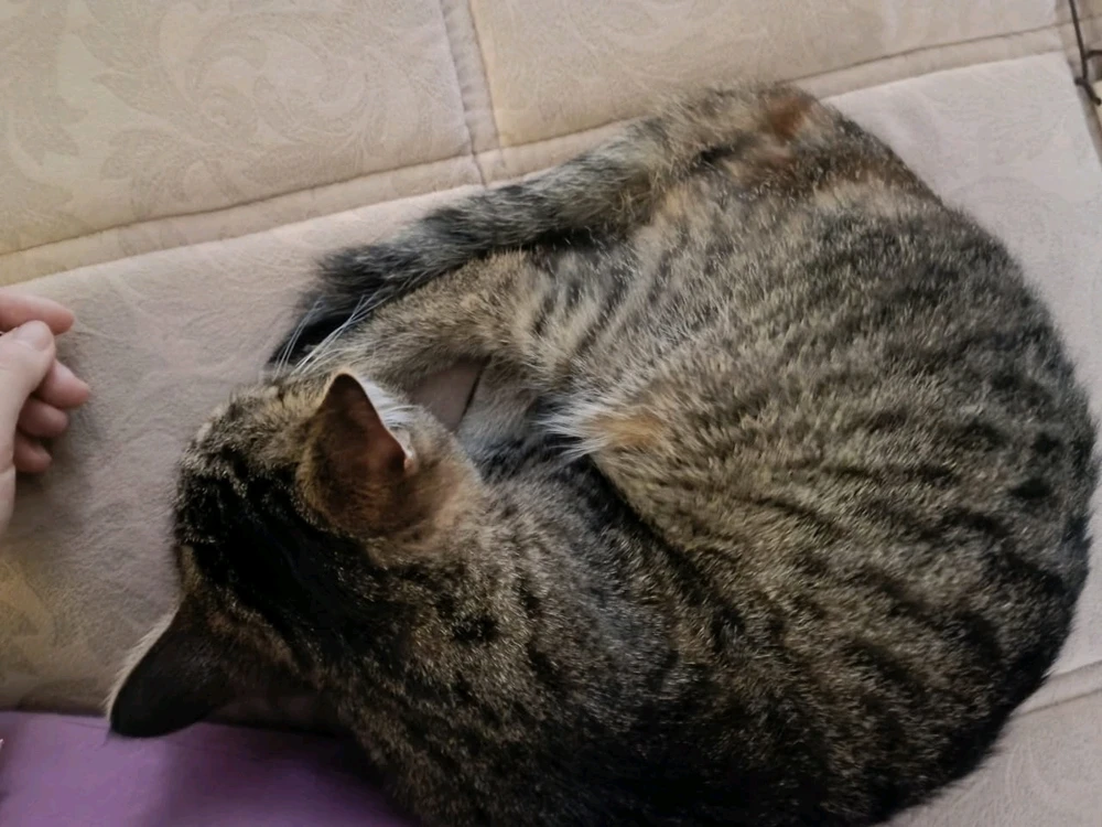 GIF subido por Axel Bts M