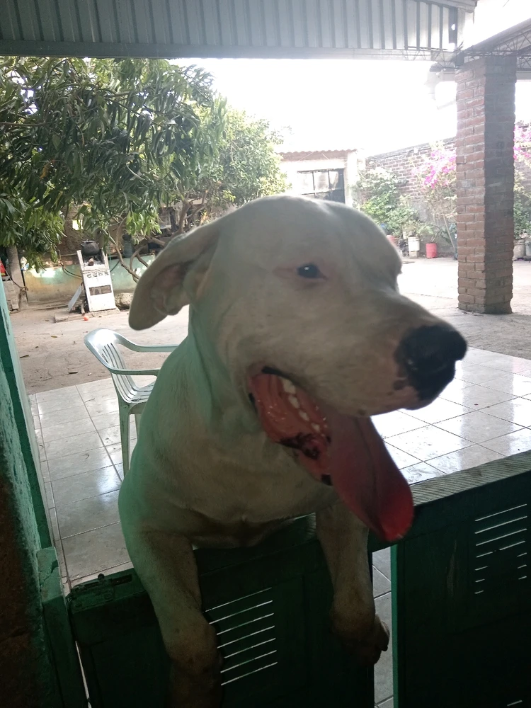 GIF subido por Roberto