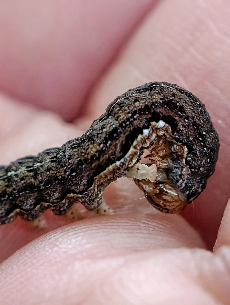 GIF dodany przez Karola