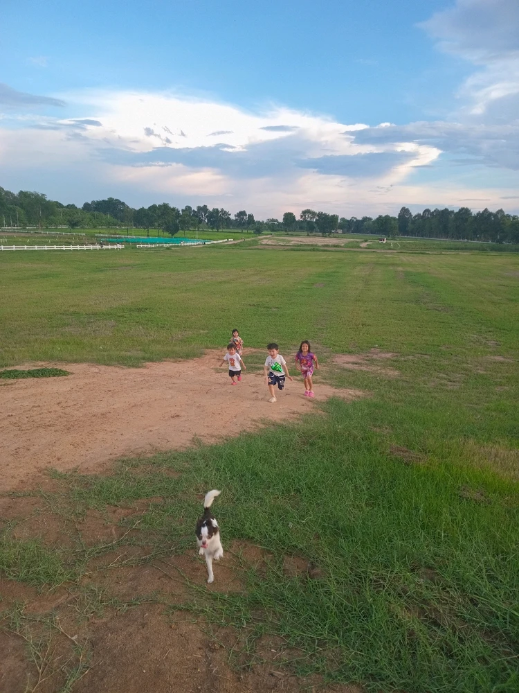 GIF อัปโหลดโดย Honey