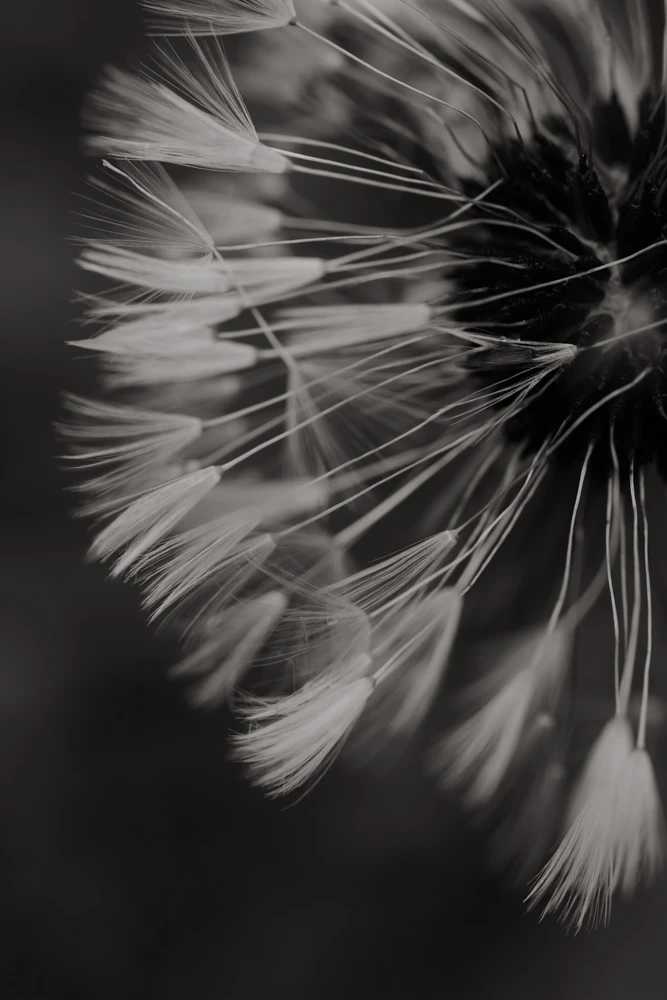 Nuotrauką įkėlė Tim