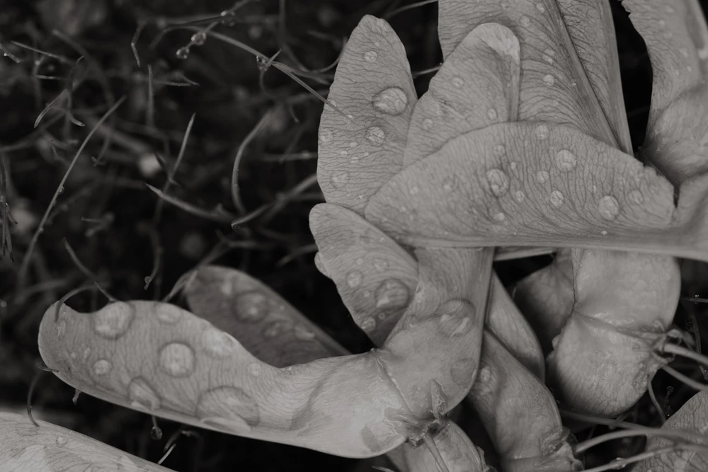 Nuotrauką įkėlė Tim