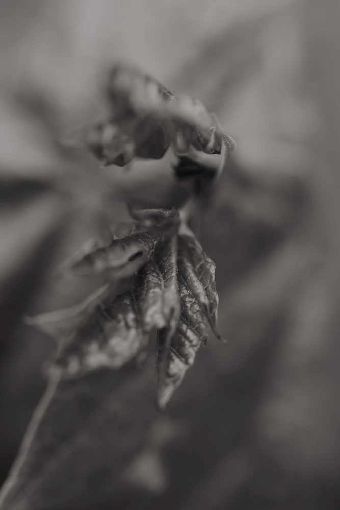 Nuotrauką įkėlė Tim