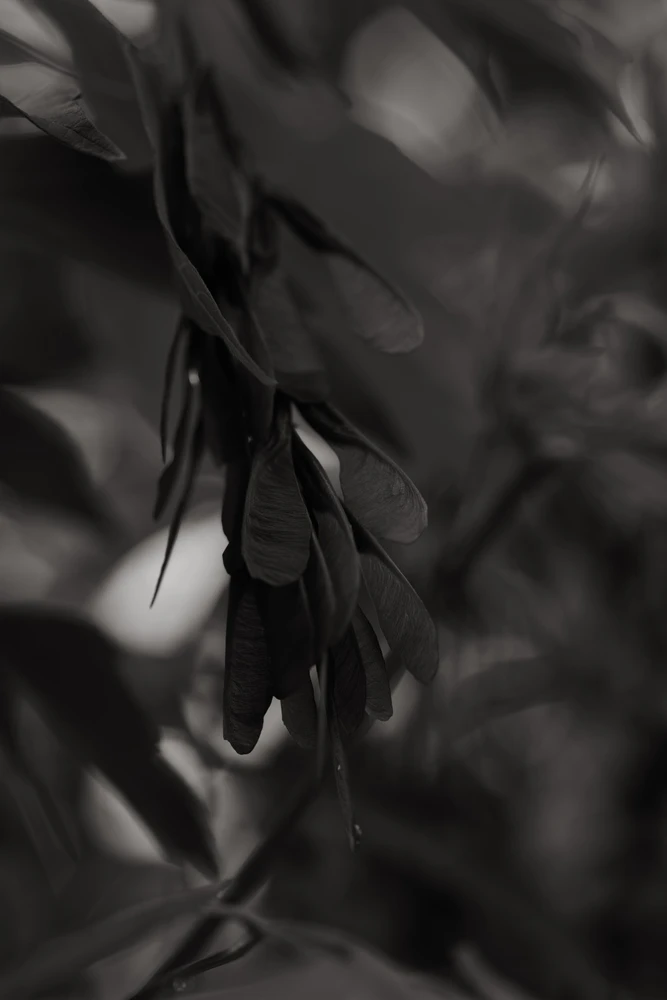 Nuotrauką įkėlė Tim