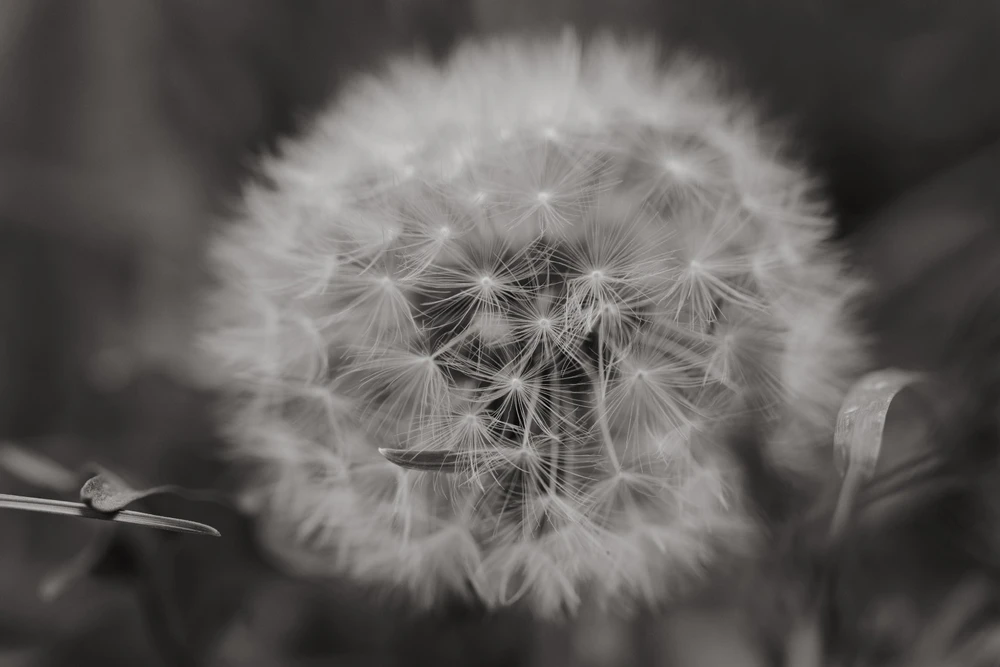 Image uploaded by Tim