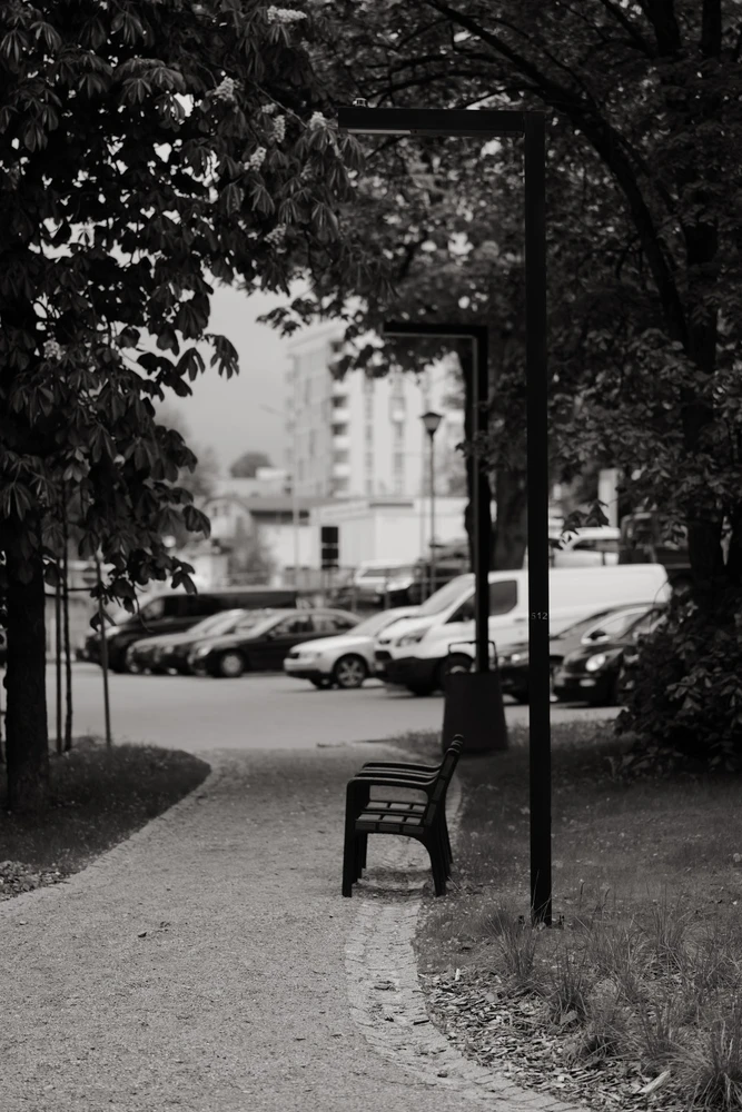 Image uploaded by Tim