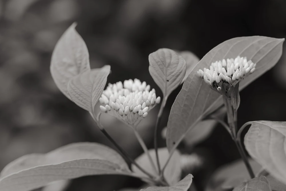 Фото загрузил Tim