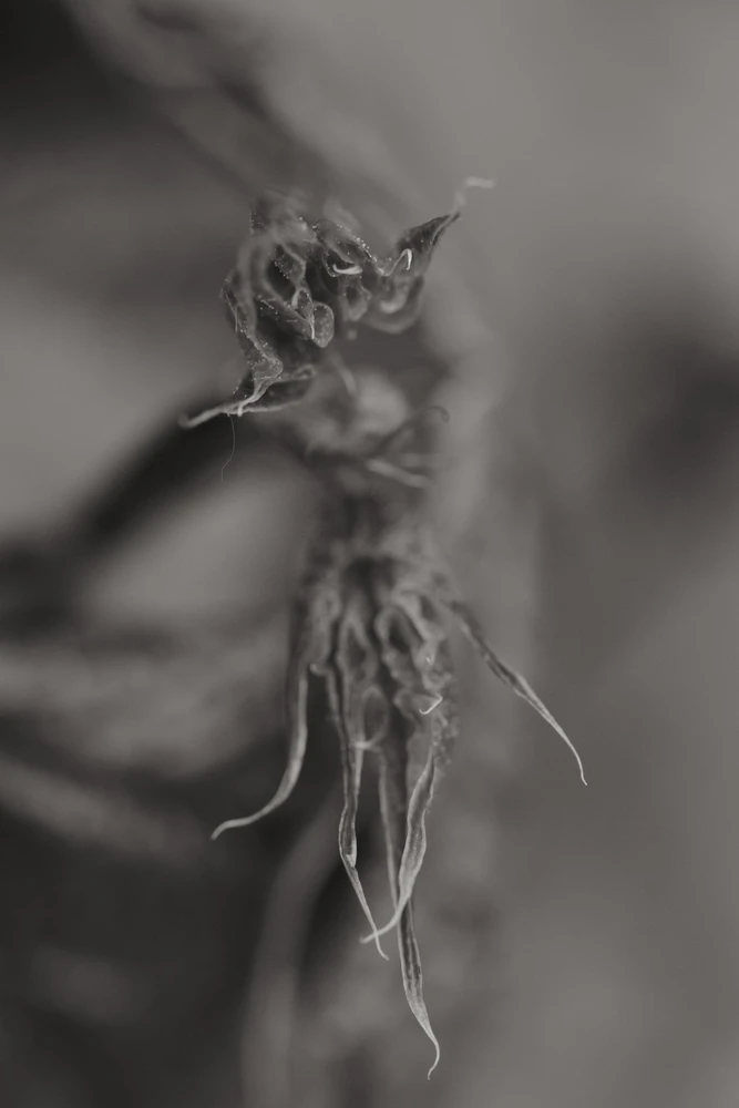 Фото загрузил Tim