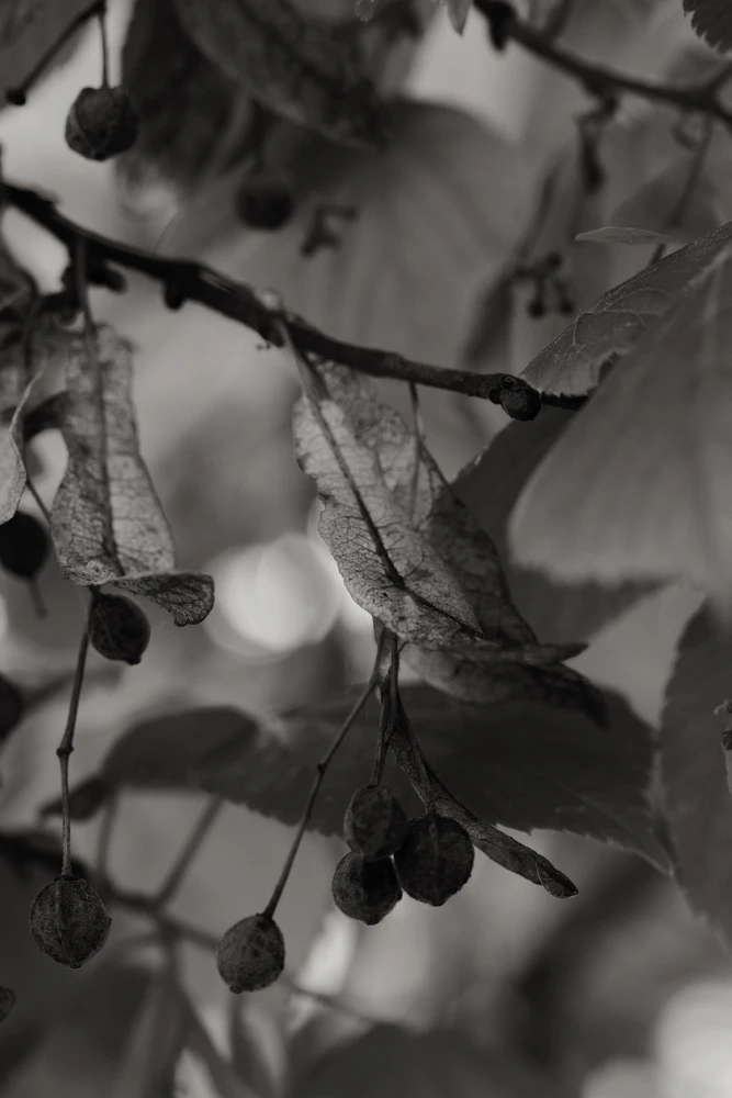 Фото загрузил Tim