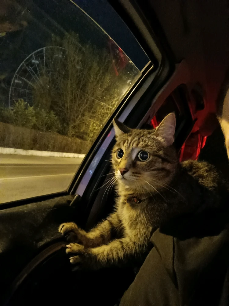 Фото загрузил Александр
