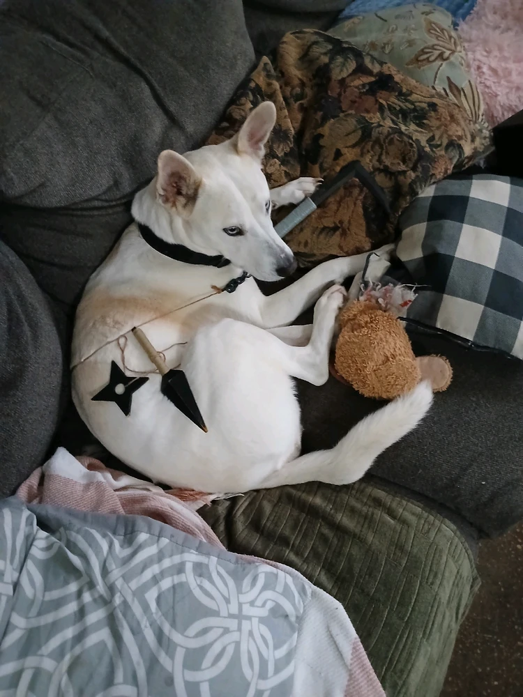 GIF uploaded by Finn