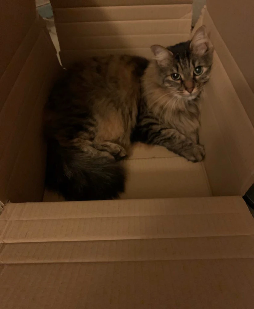 Image ajoutée par Benoît