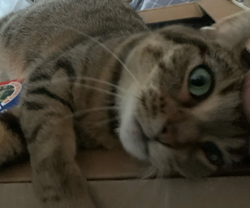 Image ajoutée par Benoît