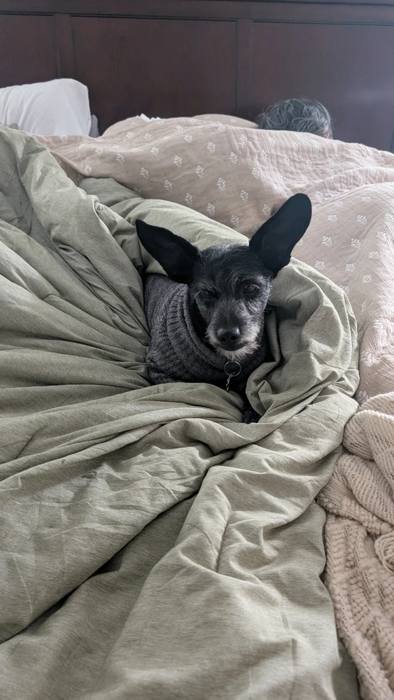 GIF uploaded by Bradley