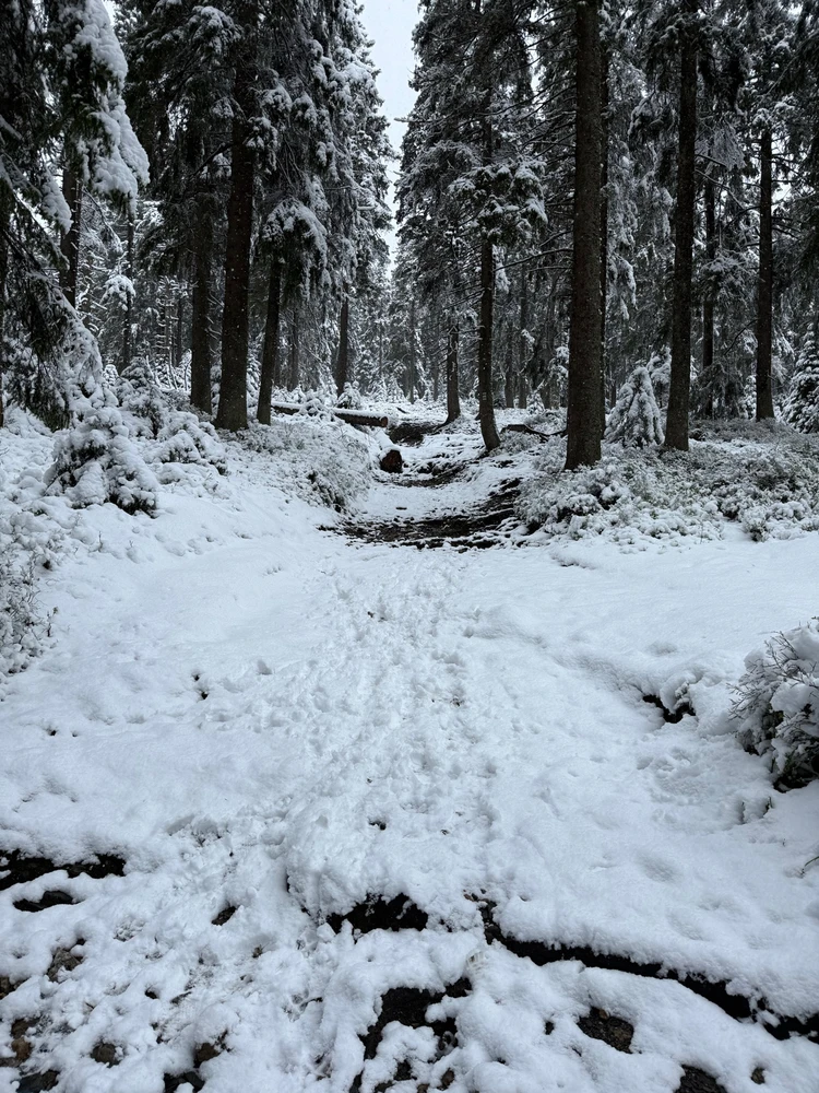 Obrázek nahrál Modrá Fidorka only