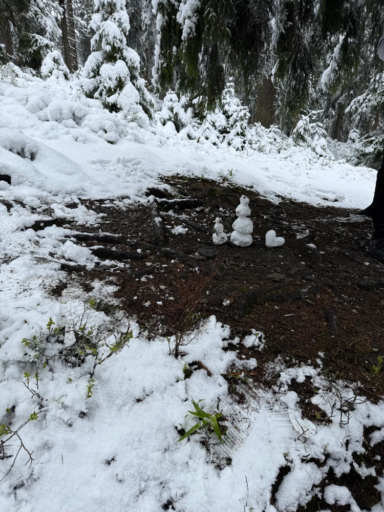 Obrázek nahrál Modrá Fidorka only