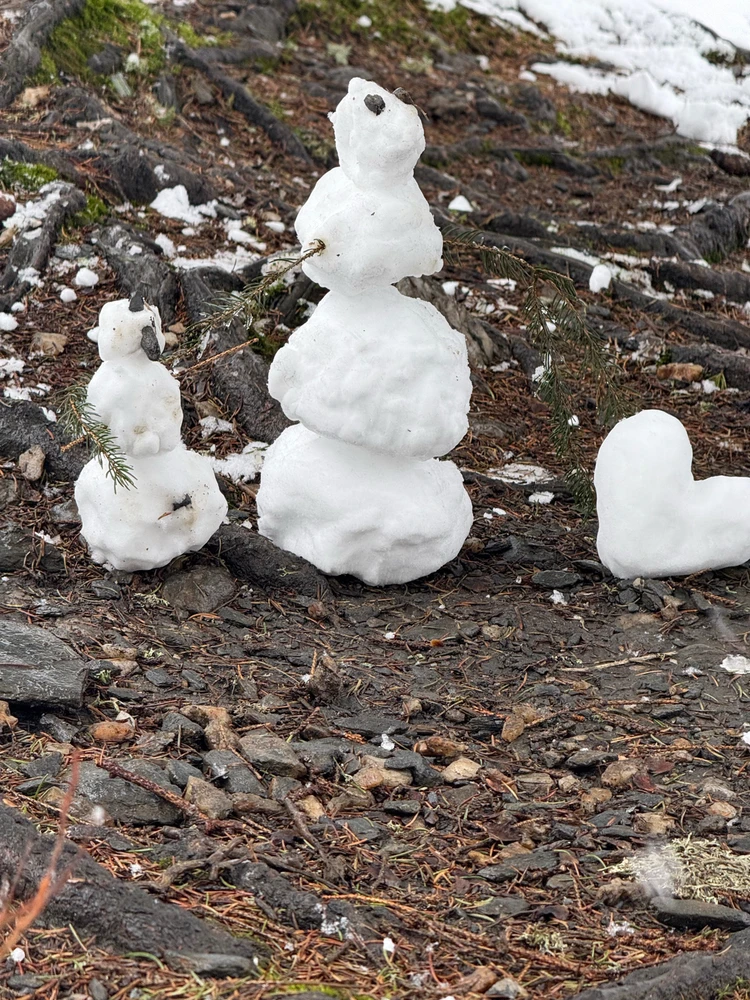 Obrázek nahrál Modrá Fidorka only