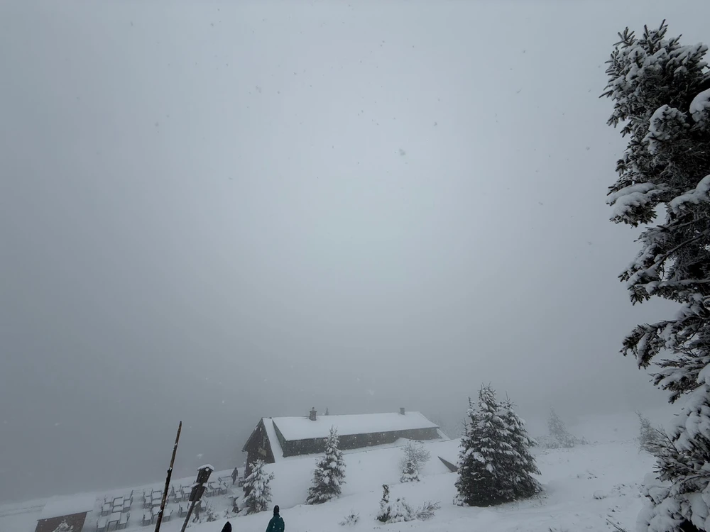 Obrázek nahrál Modrá Fidorka only