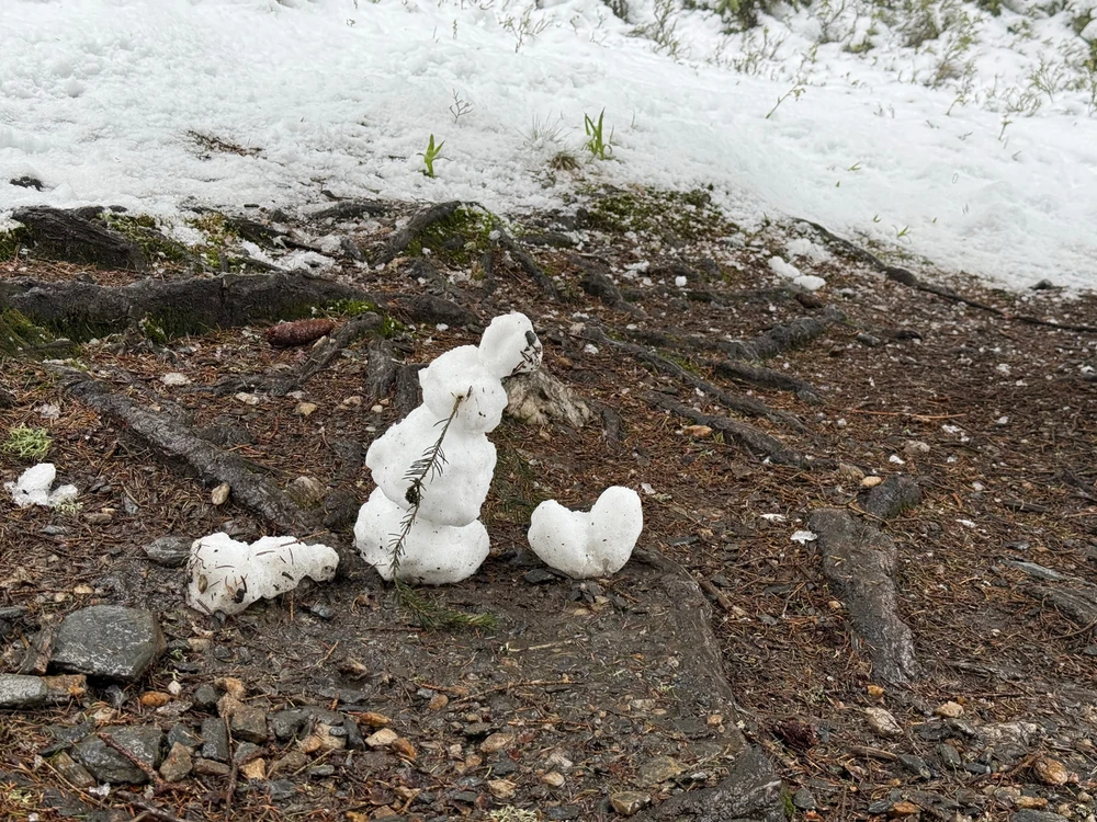 Obrázek nahrál Modrá Fidorka only