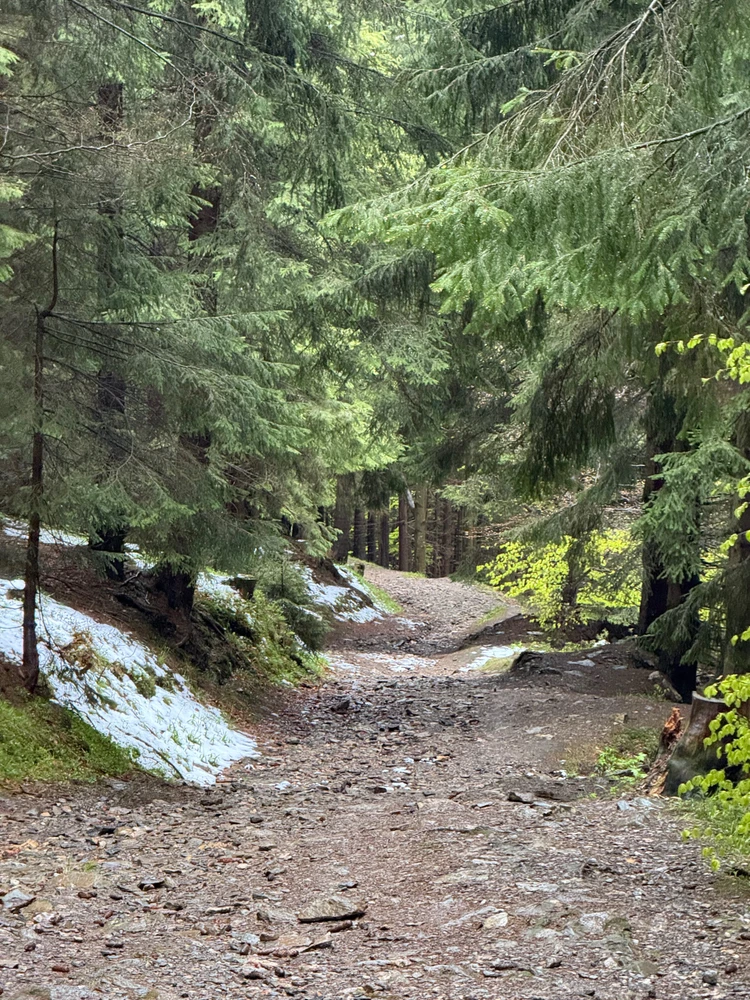 Obrázek nahrál Modrá Fidorka only