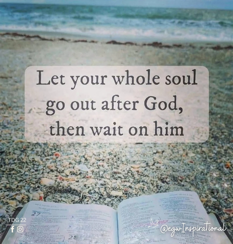 GIF uploaded by 𝔾𝕖𝕟𝕥𝕝𝕖 𝔾𝕚𝕒𝕟𝕥