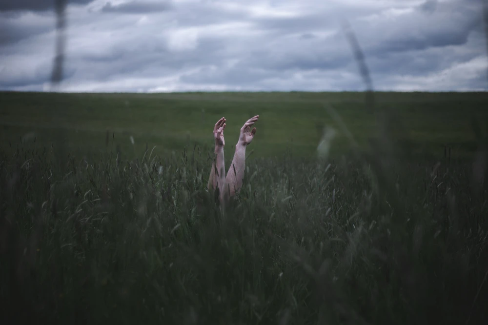 Obrázek nahrál Filip