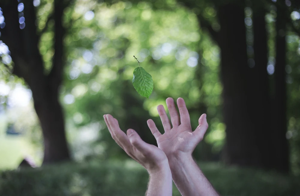 Obrázek nahrál Filip