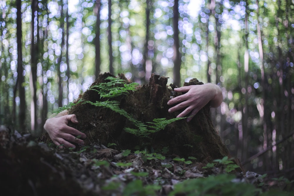 Obrázek nahrál Filip