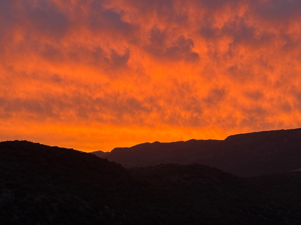 NdrTMC tarafından yüklenen görsel