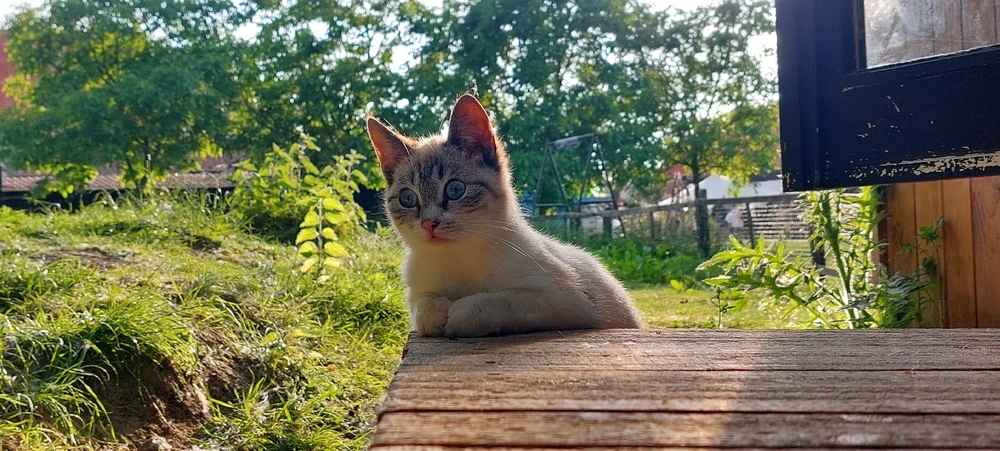 GIF geüpload door Ismael