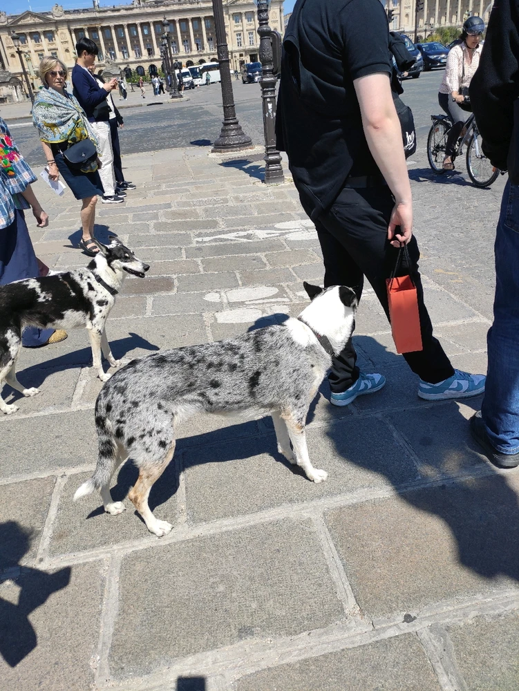 Obrázek nahrál Svatava