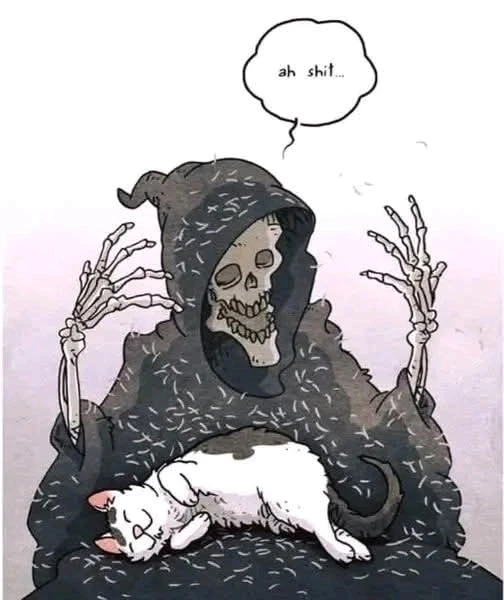 GIF uploaded by Adorable Dork