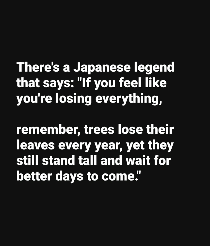 狼上传的GIF