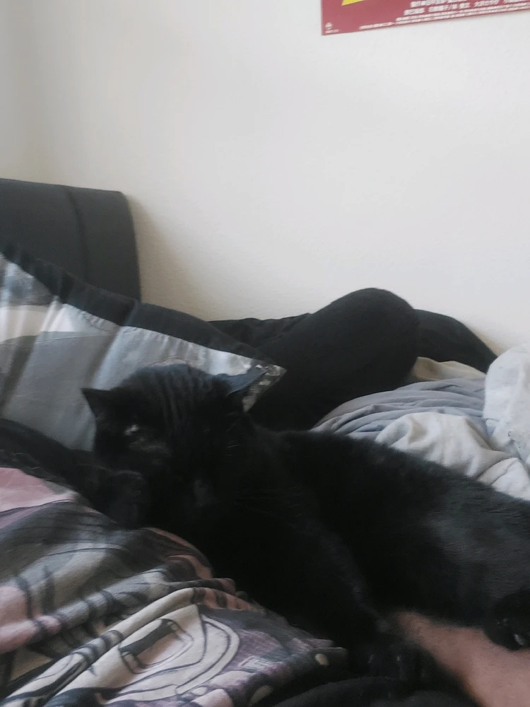 GIF uploaded by Khiry