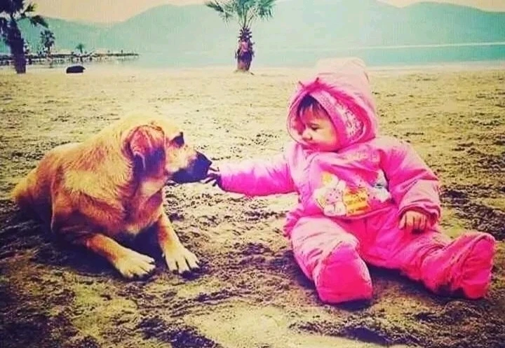 Yeeap Cengoo tarafından yüklenen görsel