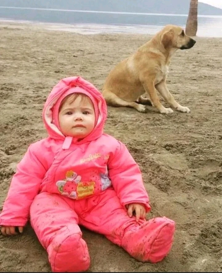 Yeeap Cengoo tarafından yüklenen görsel