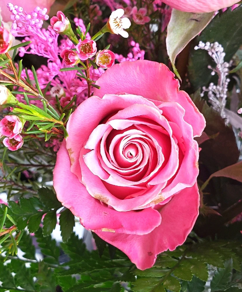 GIF uploaded by laila♡