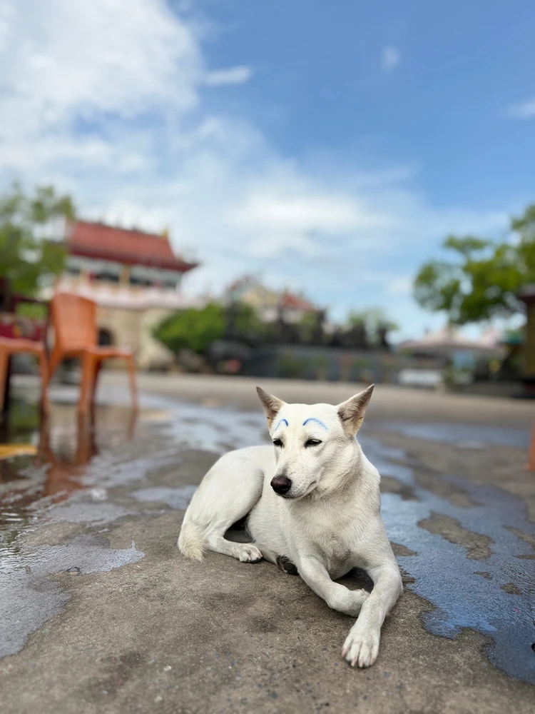 GIF อัปโหลดโดย L