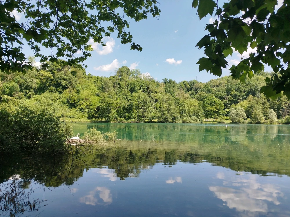 Immagine caricata da Fabiola