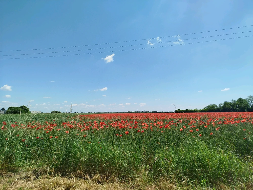 Immagine caricata da Fabiola