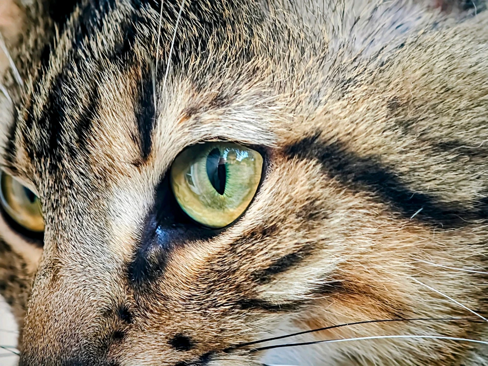 GIF uploaded by Boriss