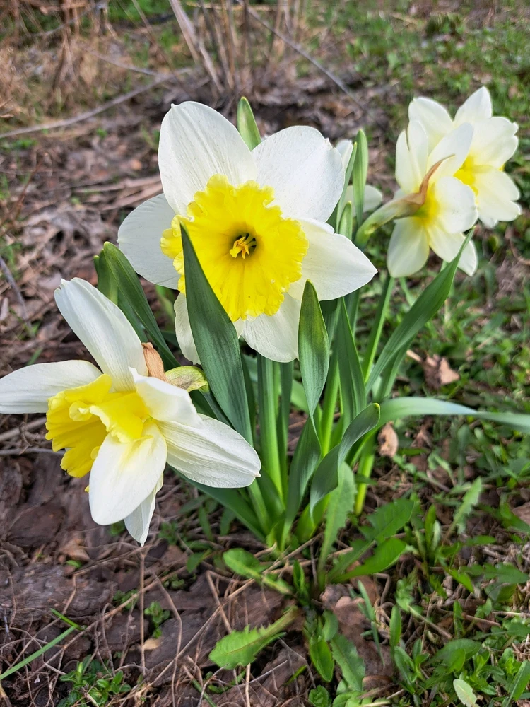Фото загрузил Елена
