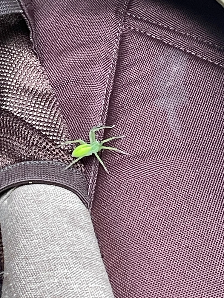 GIF hochgeladen von Batu