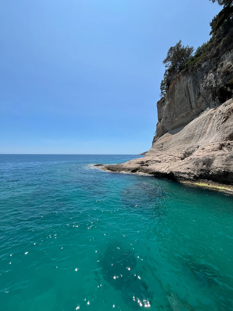 Gazi tarafından yüklenen GIF