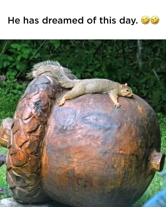 GIF uploaded by Максим